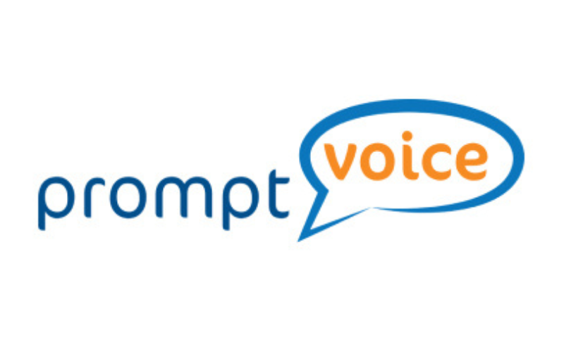 prompt voice logo